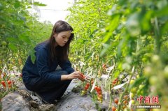 （走进中国乡村）青年农创客引入数字新农活 浙江乡村化身“未来农场”